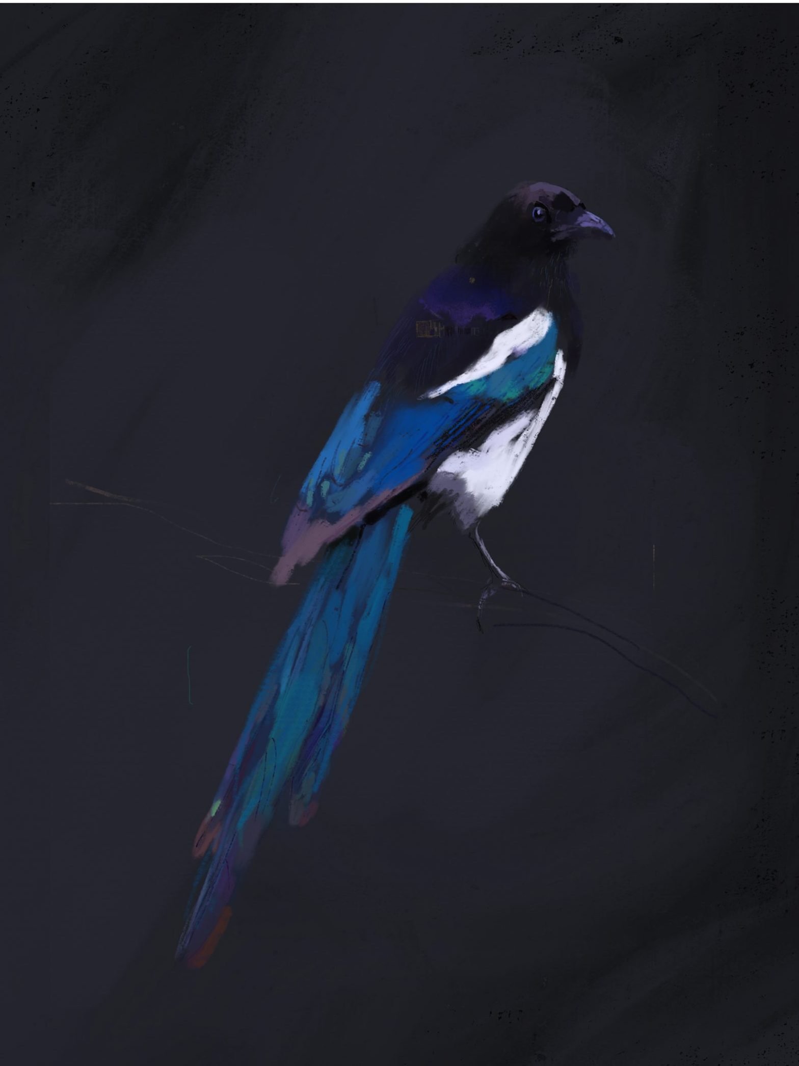 None is the number black is the colour