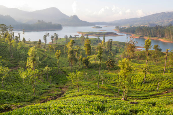 Beautiful natural landscapes in Sri Lanka