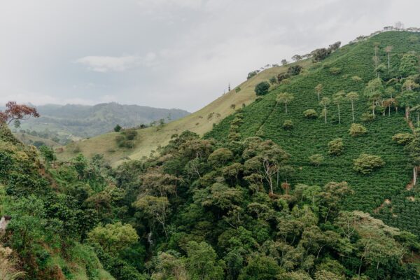 landscape-in-antioquia-colombia-of-mountains-and-2021-08-29-01-17-40-utc