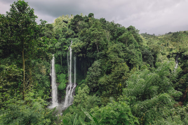Beautiful landscape shot of waterfall in a tropical rain forest, surrounded by trees on a overcast day.